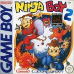 Coverart of Ninja Boy 2