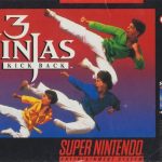 Coverart of 3 Ninjas Kick Back
