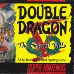 Coverart of Double Dragon V: The Shadow Falls - Secret Characters Unlocked