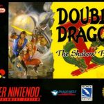 Coverart of Double Dragon V: The Shadow Falls