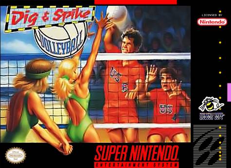 The coverart image of Dig & Spike Volleyball 