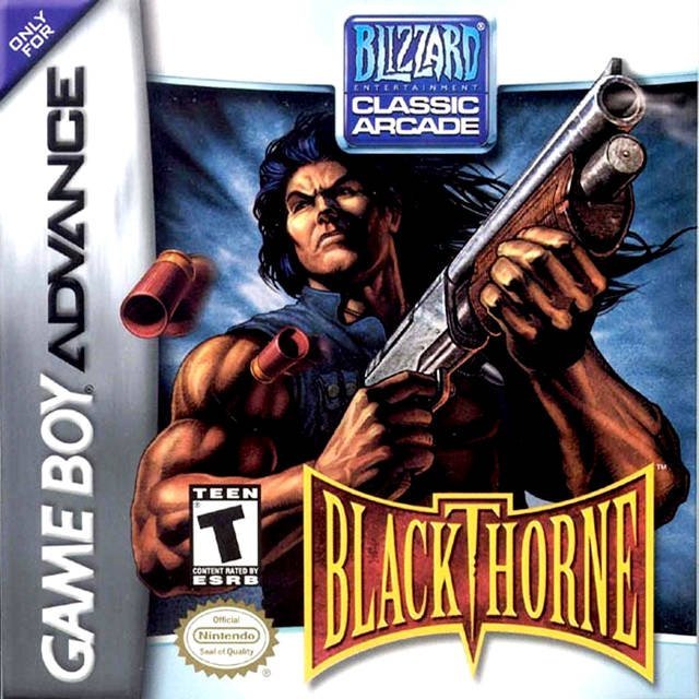 The coverart image of Blackthorne 