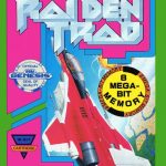 Coverart of Raiden Trad: Arcade Style Ttiles/Sprites/Colors