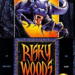 Coverart of Risky Woods
